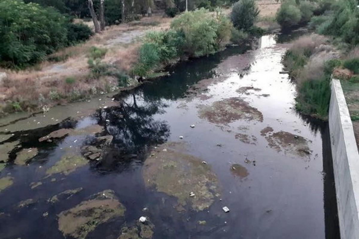 Azərbaycanda daha bir çay ekoloji böhranla üz-üzədir - FOTO