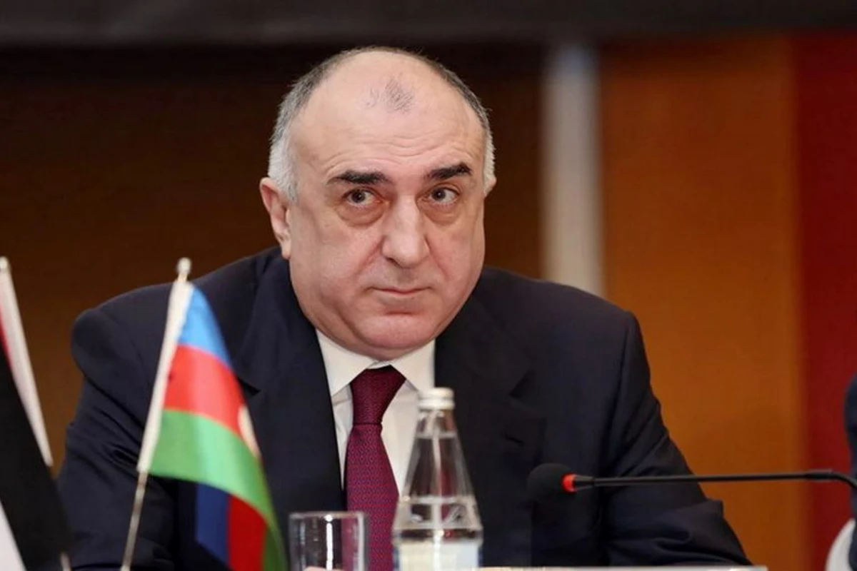 Эльмар Мамедъяров прокомментировал операцию СГБ в МИД Эльмар Мамедъяров прокомментировал операцию СГБ в МИД