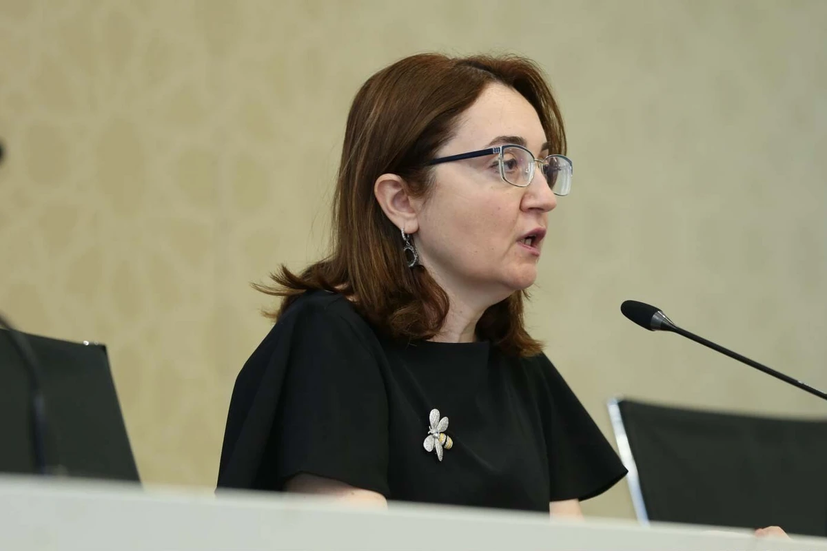 Азербайджан вышел на плато по коронавирусу - ВИДЕО