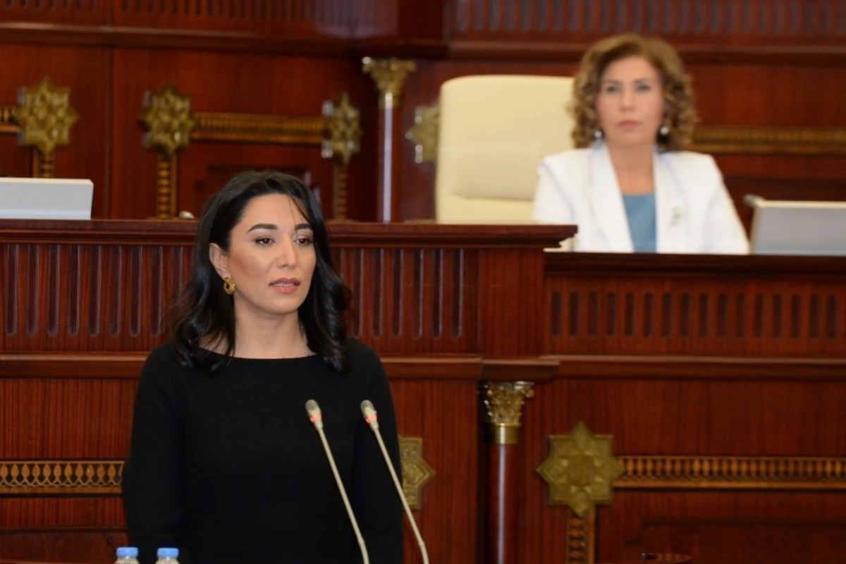 Ombudsmandan sərhəddəki təxribatla bağlı ÇAĞIRIŞ Ombudsmandan sərhəddəki təxribatla bağlı ÇAĞIRIŞ