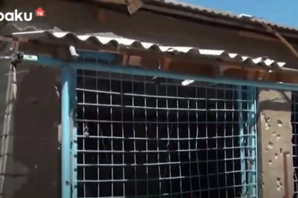 Tovuzda mülki şəxsin düşmən təxribatı ilə öldürüldüyü evdən VİDEOREPORTAJ Tovuzda mülki şəxsin düşmən təxribatı ilə öldürüldüyü evdən VİDEOREPORTAJ