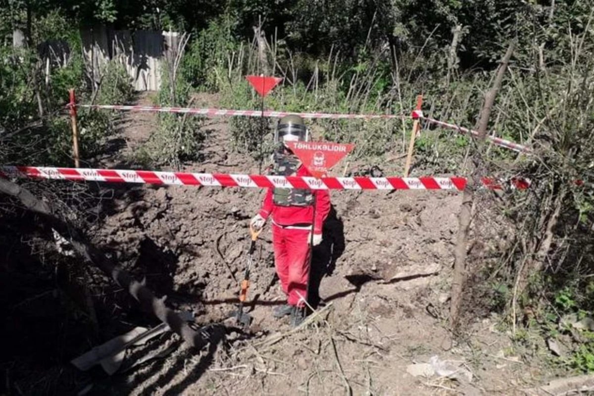 Tovuzda bağ sahəsində ermənilərin atdığı top mərmisinin qalıqları tapılıb - FOTO