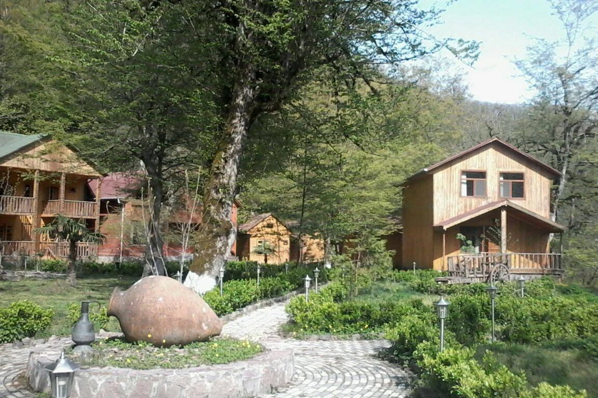 Lerikə istirahətə gedənlər cərimələndilər
