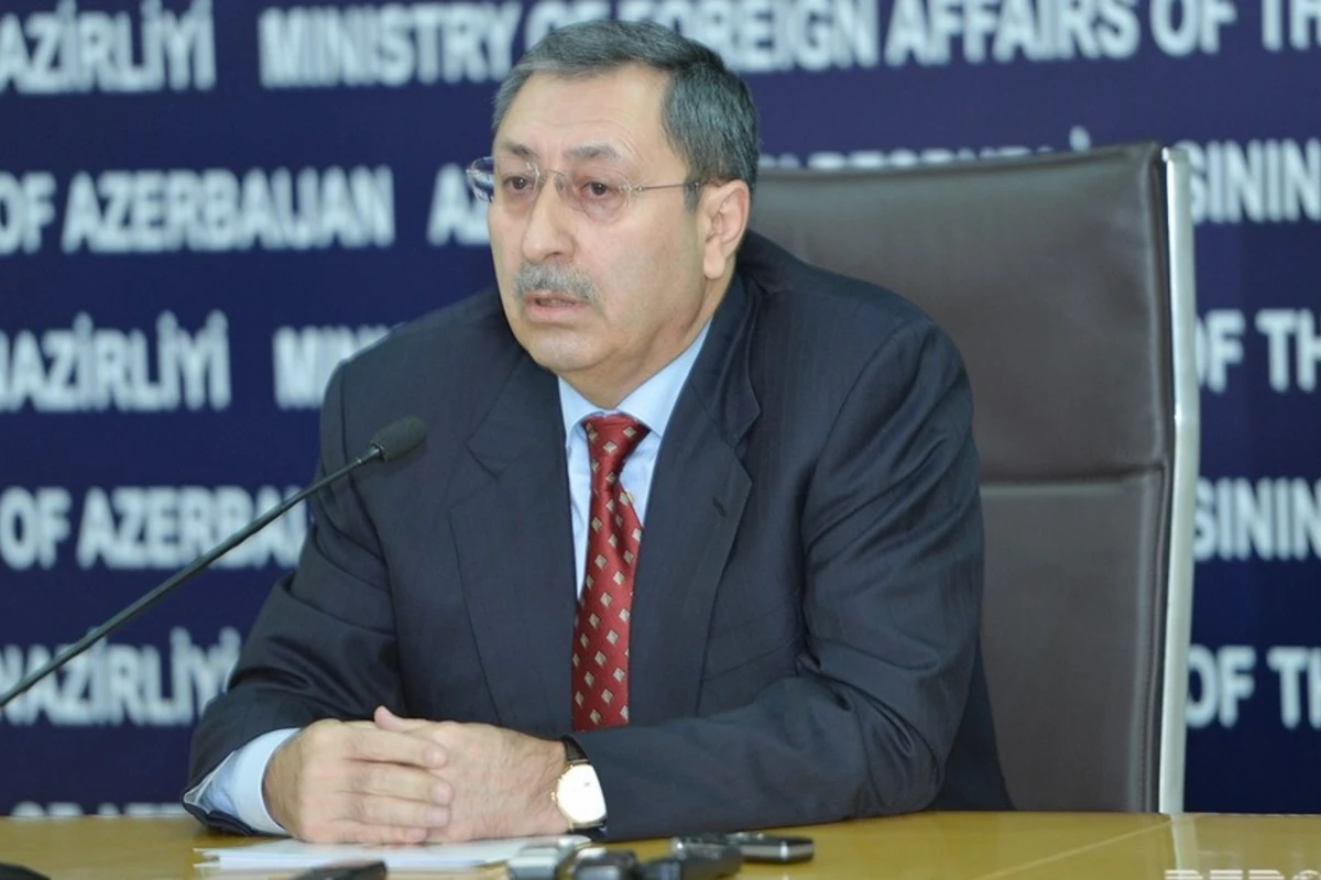 Nazir müavini: “ABŞ polisi azərbaycanlıları qoruya bilmədi” - VİDEO