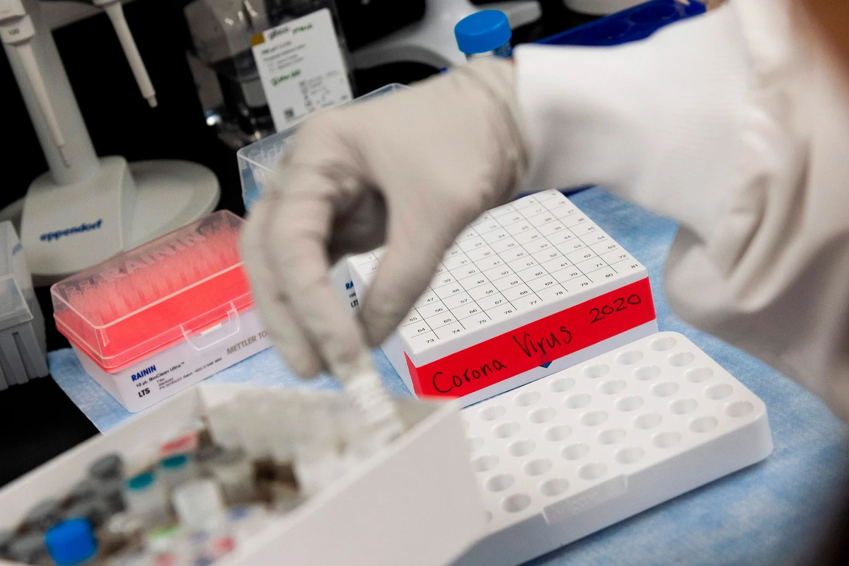 Стало известно название первой российской вакцины от COVID-19 Стало известно название первой российской вакцины от COVID-19