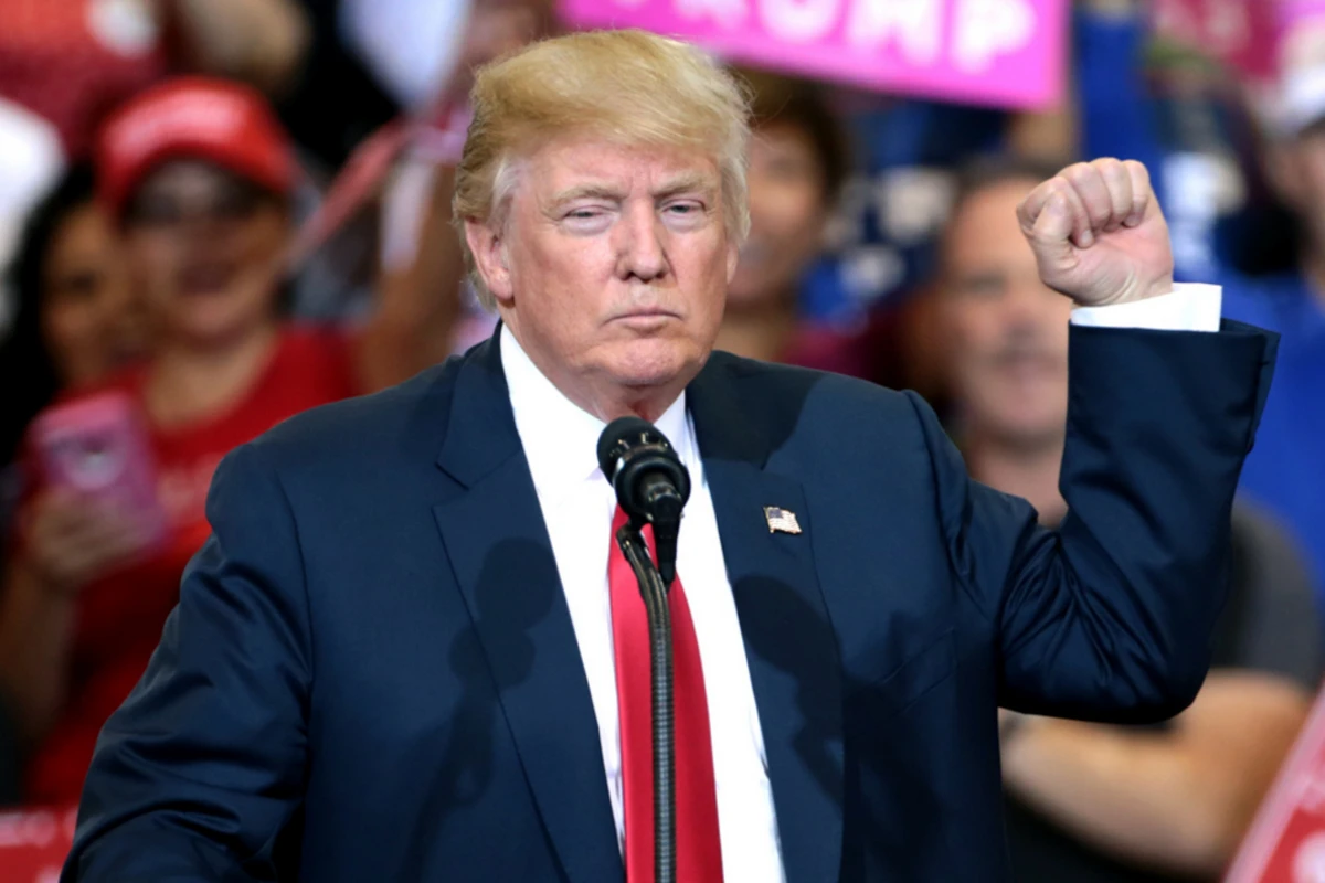Трамп за год потерял $300 миллионов - Bloomberg