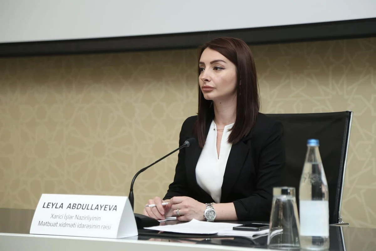 Ermənistan Aralıq dənizi hövzəsindəki vəziyyətdən sui-istifadə etmək istəyir - Leyla Abdullayeva Ermənistan Aralıq dənizi hövzəsindəki vəziyyətdən sui-istifadə etmək istəyir - Leyla Abdullayeva