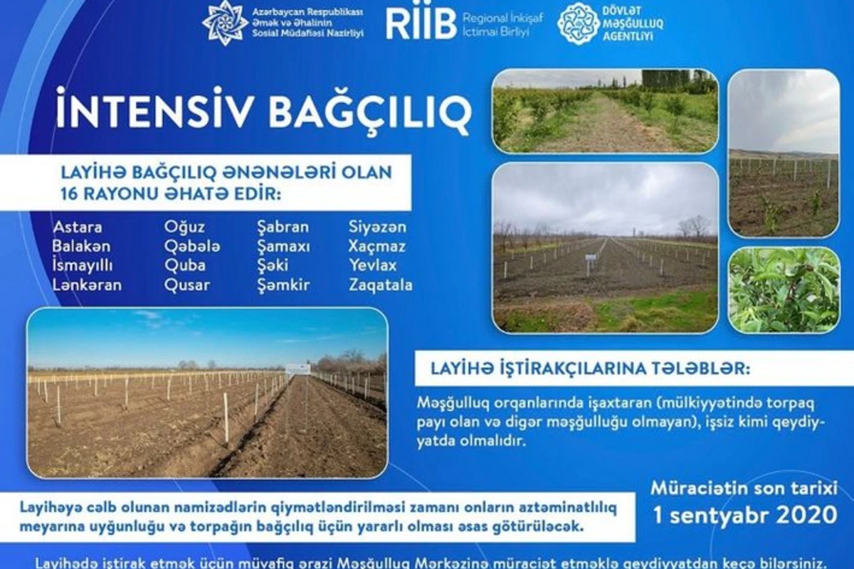 “Sosial Bağlar” layihəsinə cəlb olunmaq üçün müraciətlərin qəbulu davam edir