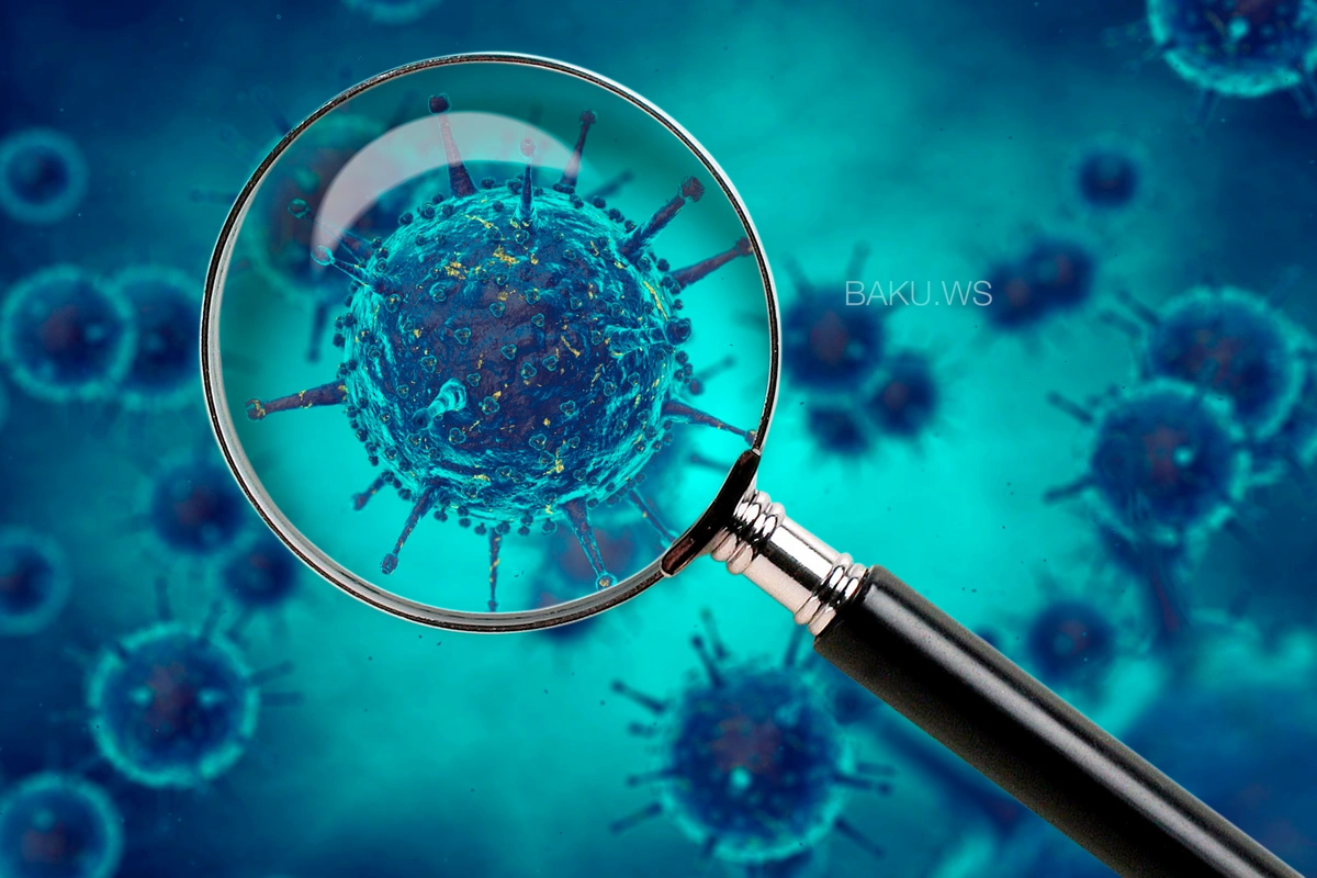 Rusiya şirkətindən Azərbaycana koronavirus təklifi