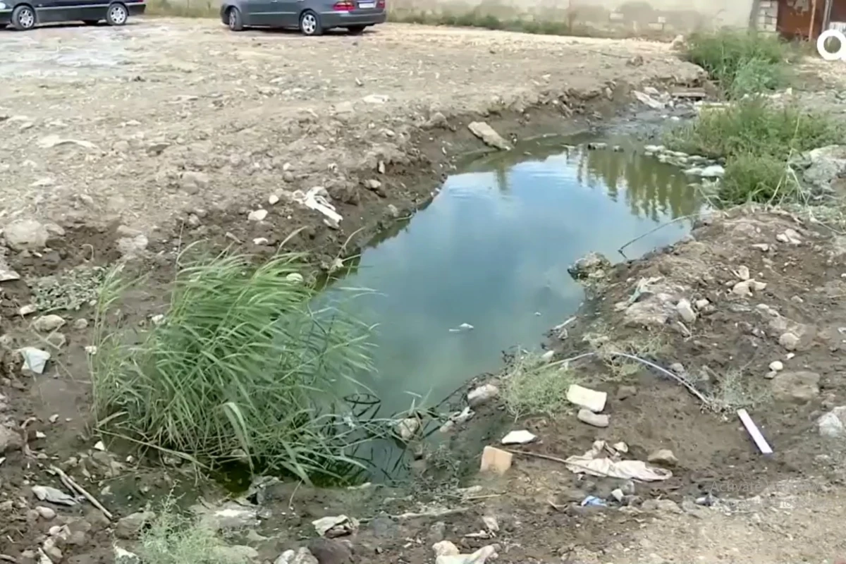Bakıda şəhid adına yaraşmayan küçə – VİDEO Bakıda şəhid adına yaraşmayan küçə – VİDEO