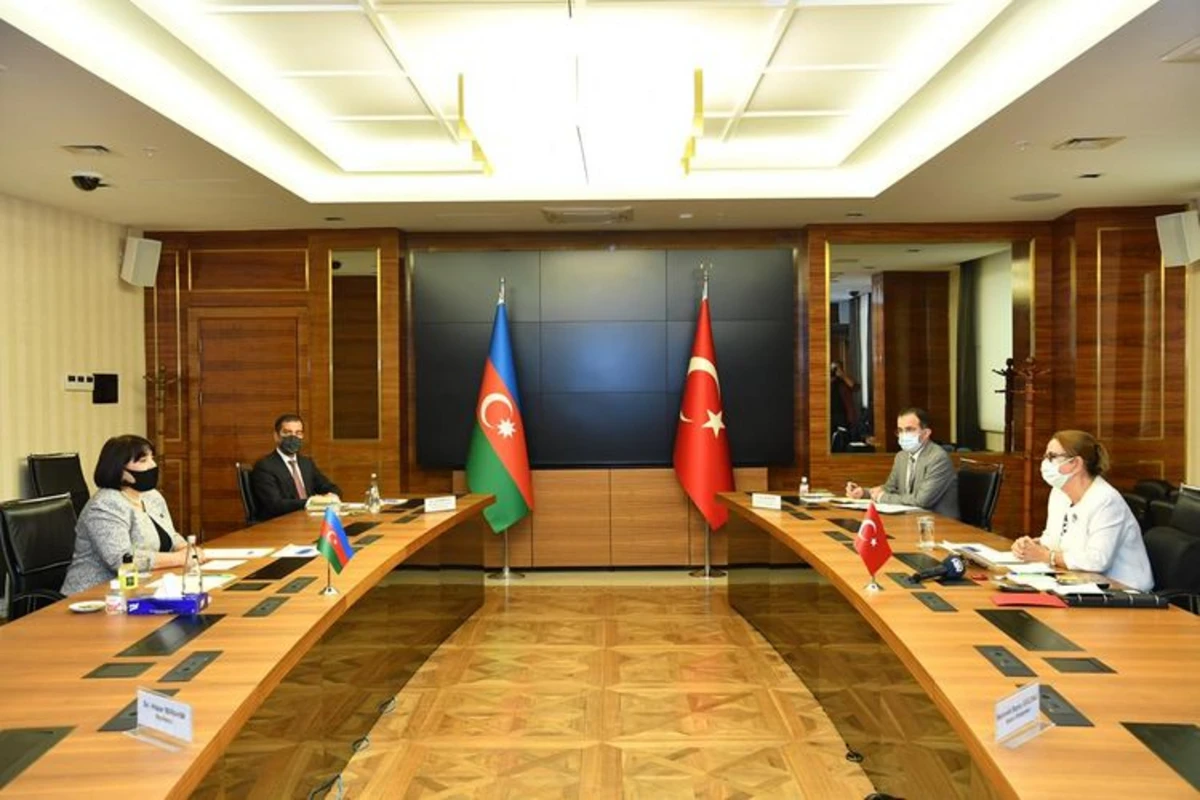 Naxçıvan Azərbaycanın bizə əmanətidir - Türkiyəli nazir
