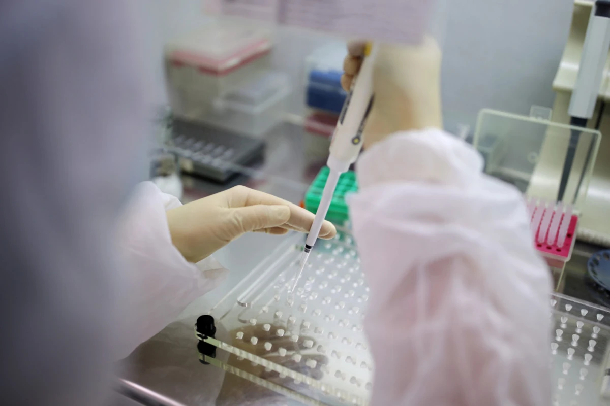 Azərbaycanın bu hisəsində koronavirus daha çox yayılıb - RƏSMİ Azərbaycanın bu hisəsində koronavirus daha çox yayılıb - RƏSMİ