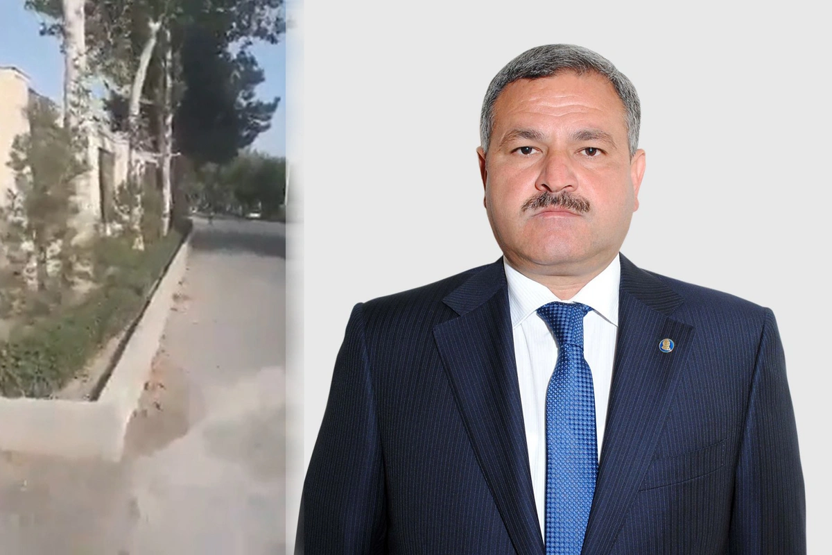 İcra başçısı villasının ətrafına yaşıllıq saldı - Sakinlərin yolunu kəsdi - VİDEO