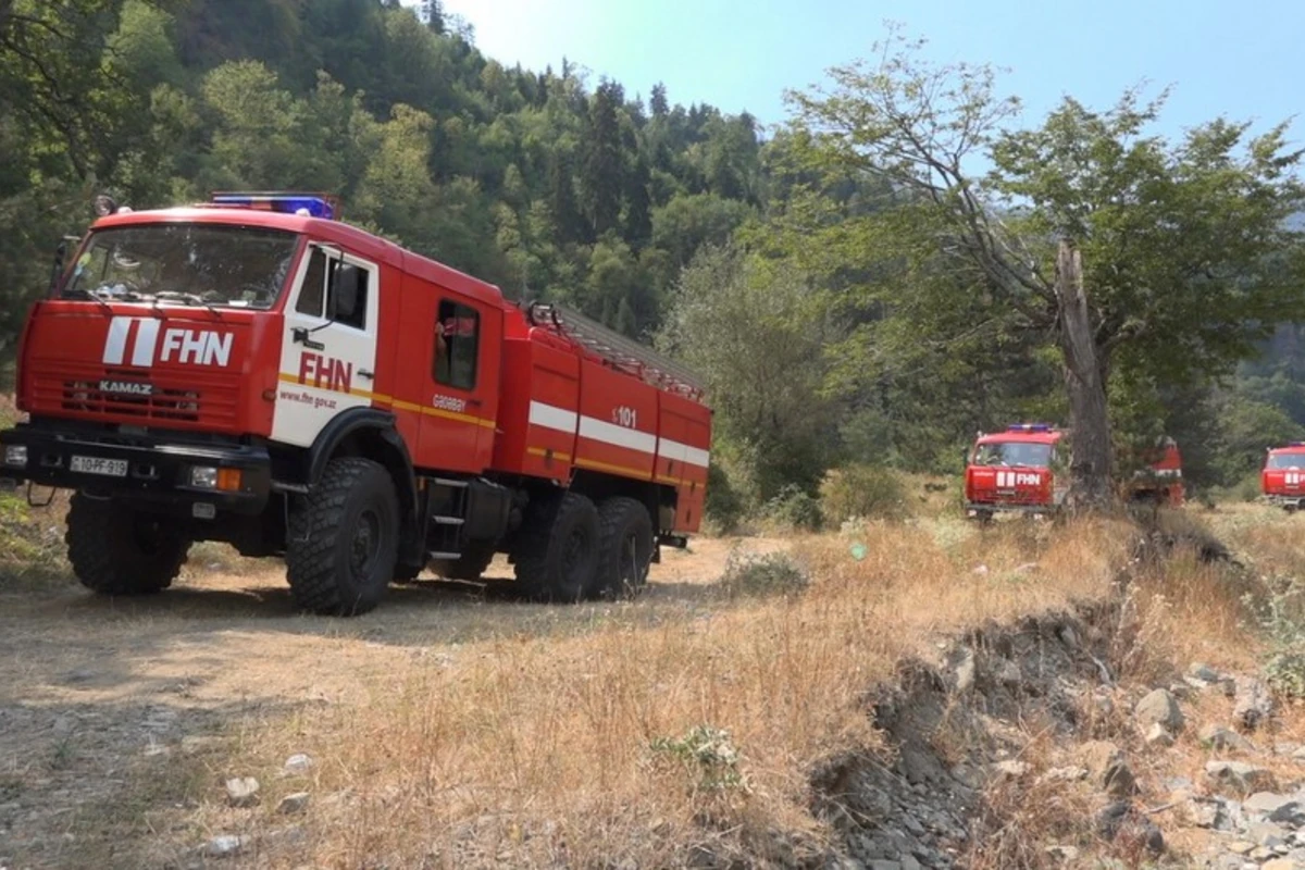 Azərbaycanda kənddə qəribə hadisə - Polislər kəndin girişində post qoydu