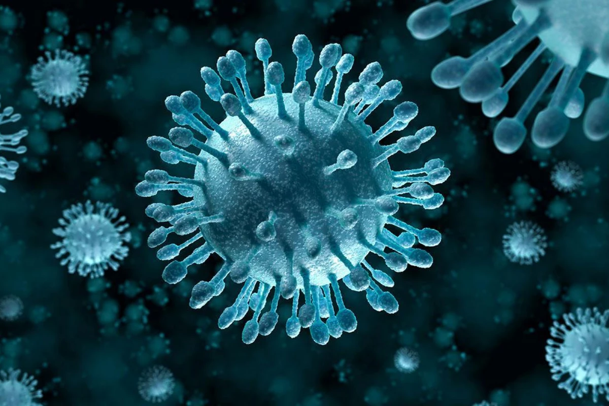Koronavirus mövsümi qripdən daha yüksək ölümə səbəb olur - Virusoloqdan AÇIQLAMA Koronavirus mövsümi qripdən daha yüksək ölümə səbəb olur - Virusoloqdan AÇIQLAMA