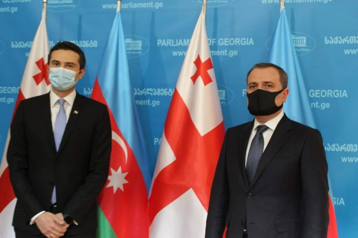 Ceyhun Bayramov Gürcüstan parlamentinin sədr müavini ilə görüşüb