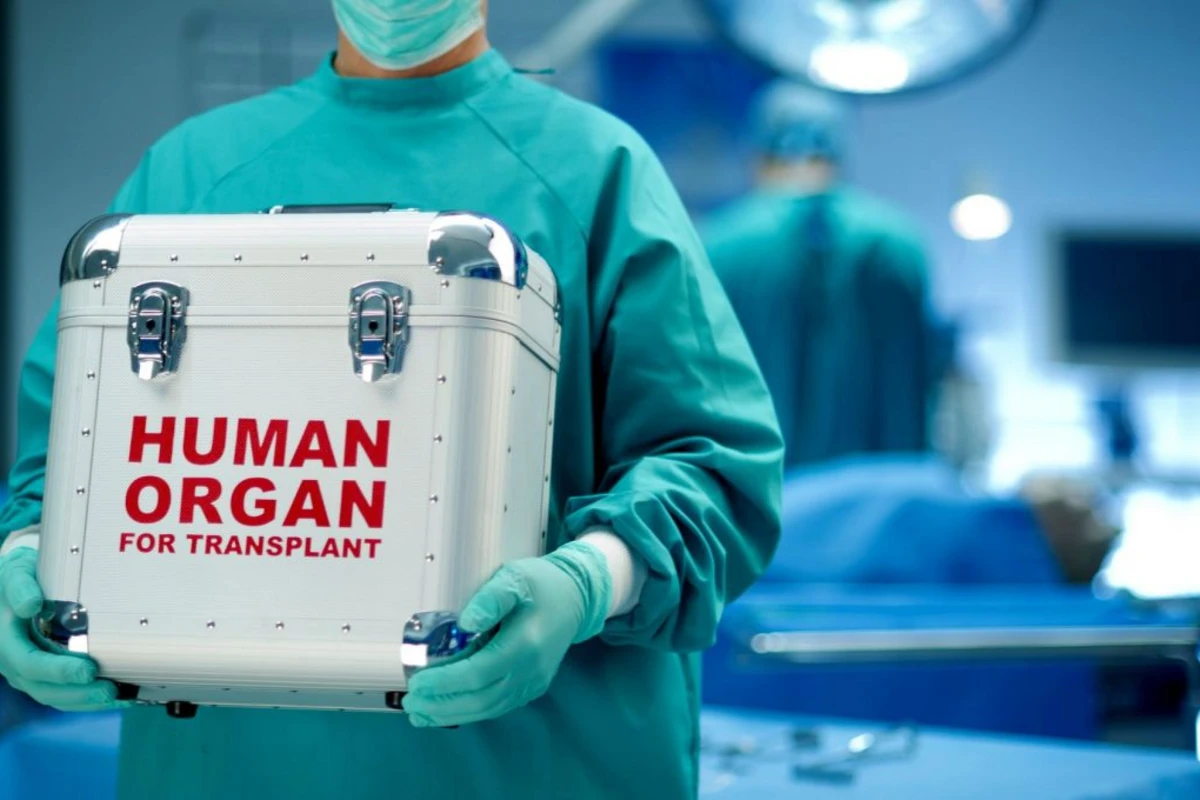 Transplantasiya obyekti olan orqan və toxumaların siyahısı müəyyənləşir Transplantasiya obyekti olan orqan və toxumaların siyahısı müəyyənləşir