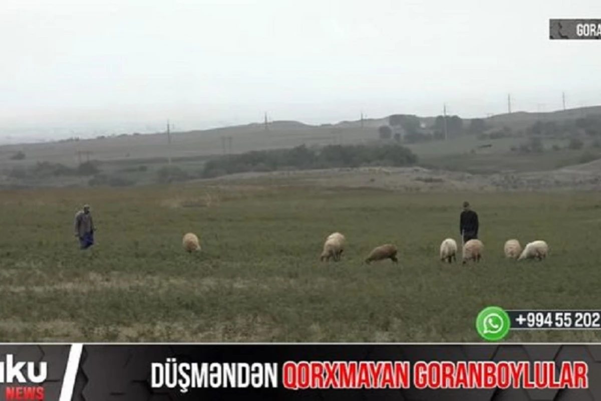 Düşmənin intensiv atəşə tutduğu Goranboydan VİDEOREPORTAJ Düşmənin intensiv atəşə tutduğu Goranboydan VİDEOREPORTAJ