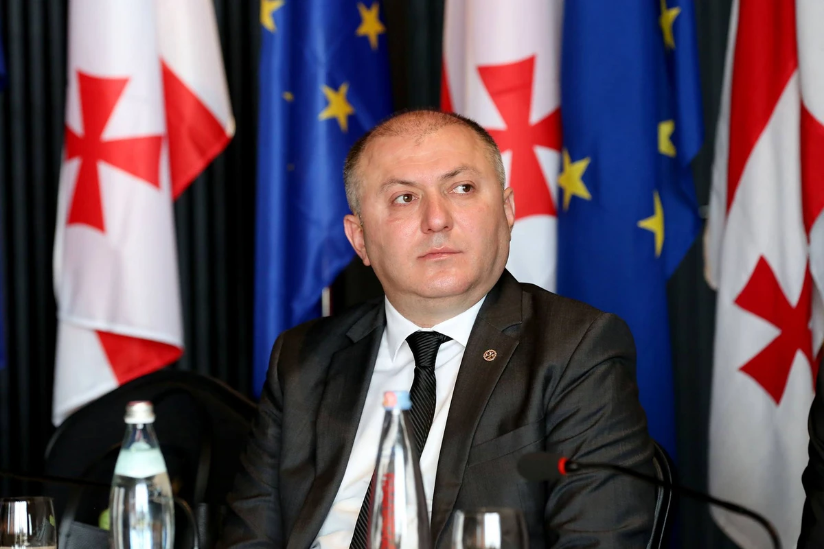 Gürcüstan DTX: Suriyalıların Azərbaycana keçməsi məlumatları yalandır
