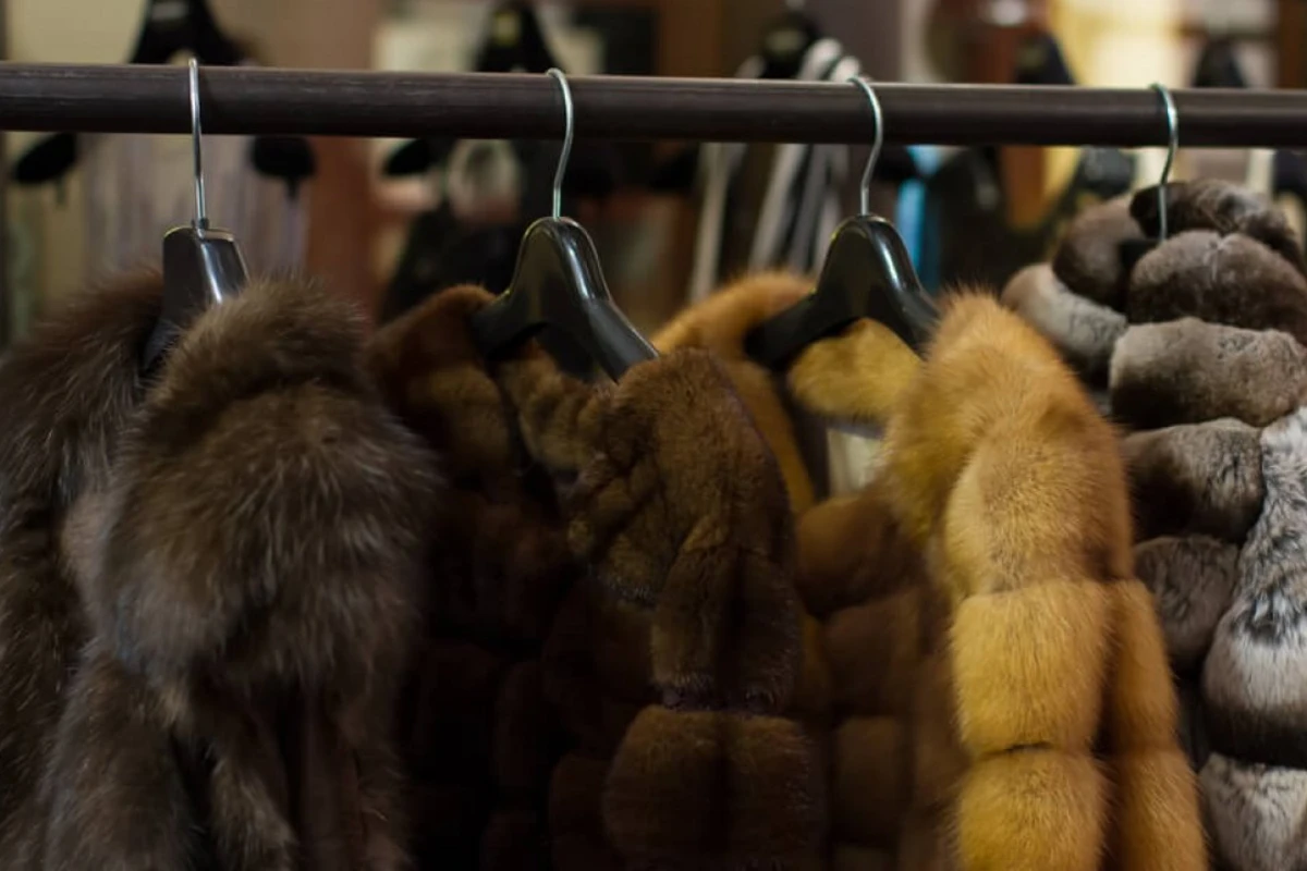 В Израиле могут запретить продажу меха