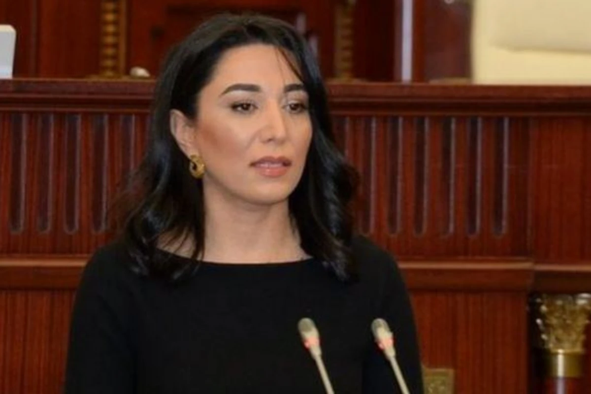 Ombudsman beynəlxalq təşkilatlara hesabat göndərib