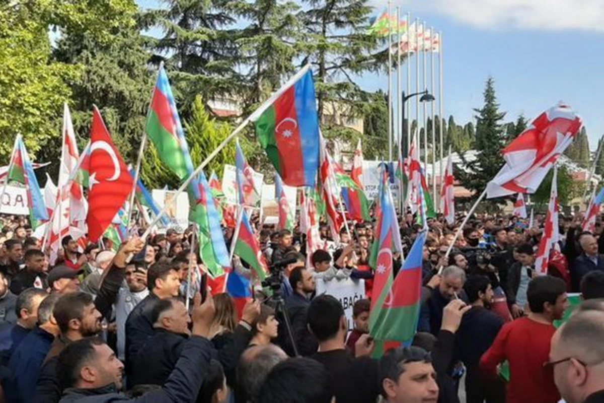 В Грузии наши соотечественники провели акцию в поддержку Азербайджана - ФОТО