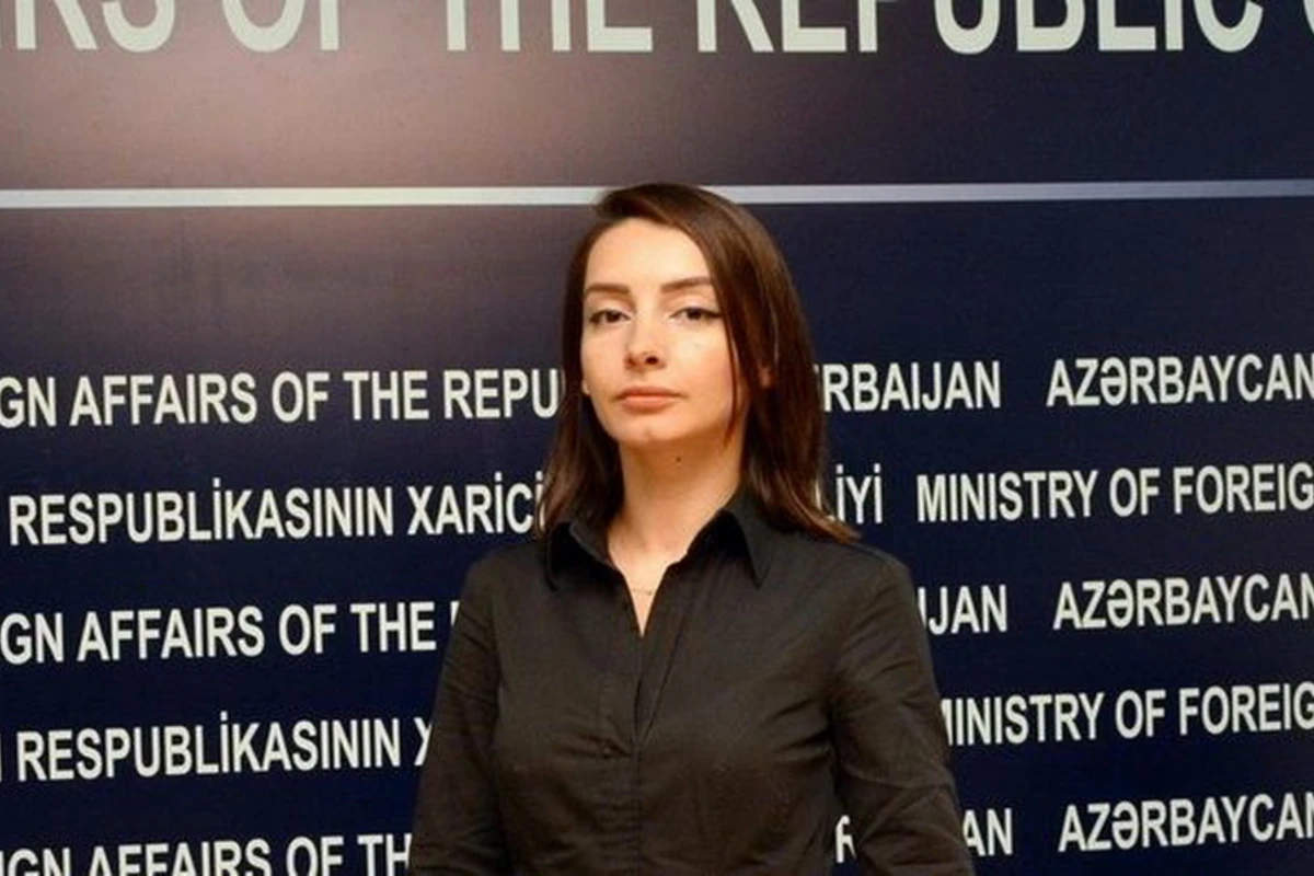Лейла Абдуллаева: Армения до сих пор игнорирует требования резолюций Совбеза ООН