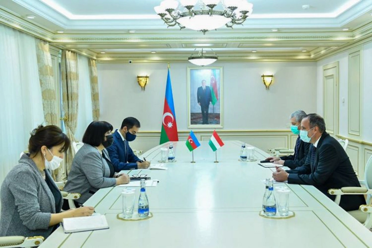 Sahibə Qafarova Macarıstan səfiri ilə görüşüb