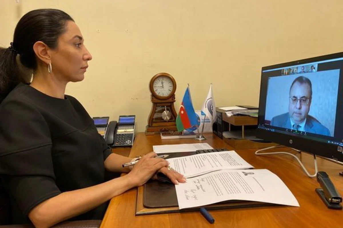 Омбудсмен провела встречу с Владимиром Школьниковым в формате видеоконференции