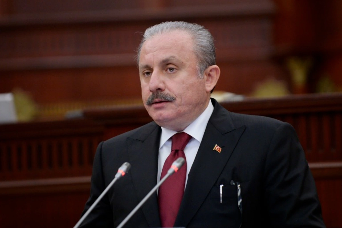 Mustafa Şentopdan dünyaya: Karsınız, korsunuz, ya lalsınız? - VİDEO