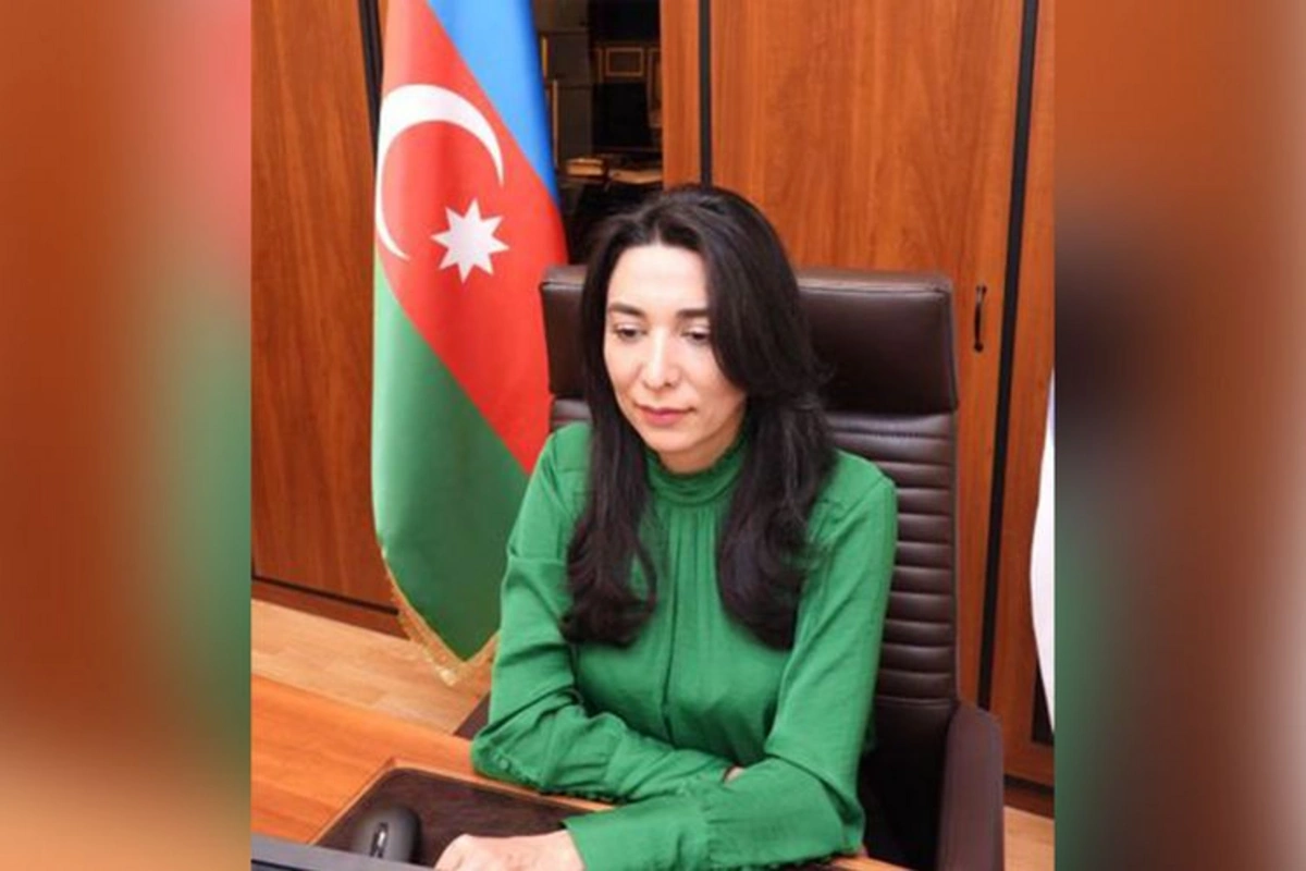 Türkdilli ölkələrin ombudsmanlarının onlayn iclası keçirilib