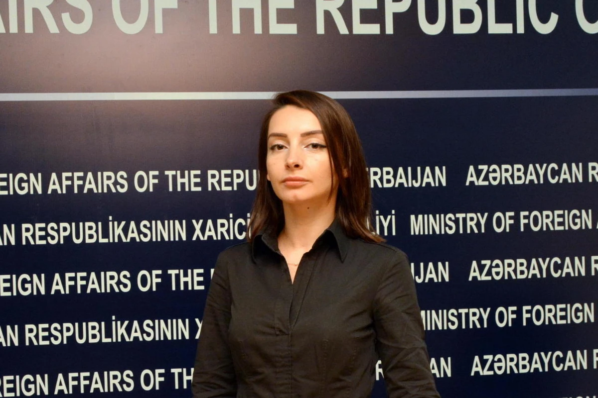 Лейла Абдуллаева ответила МИД Армении