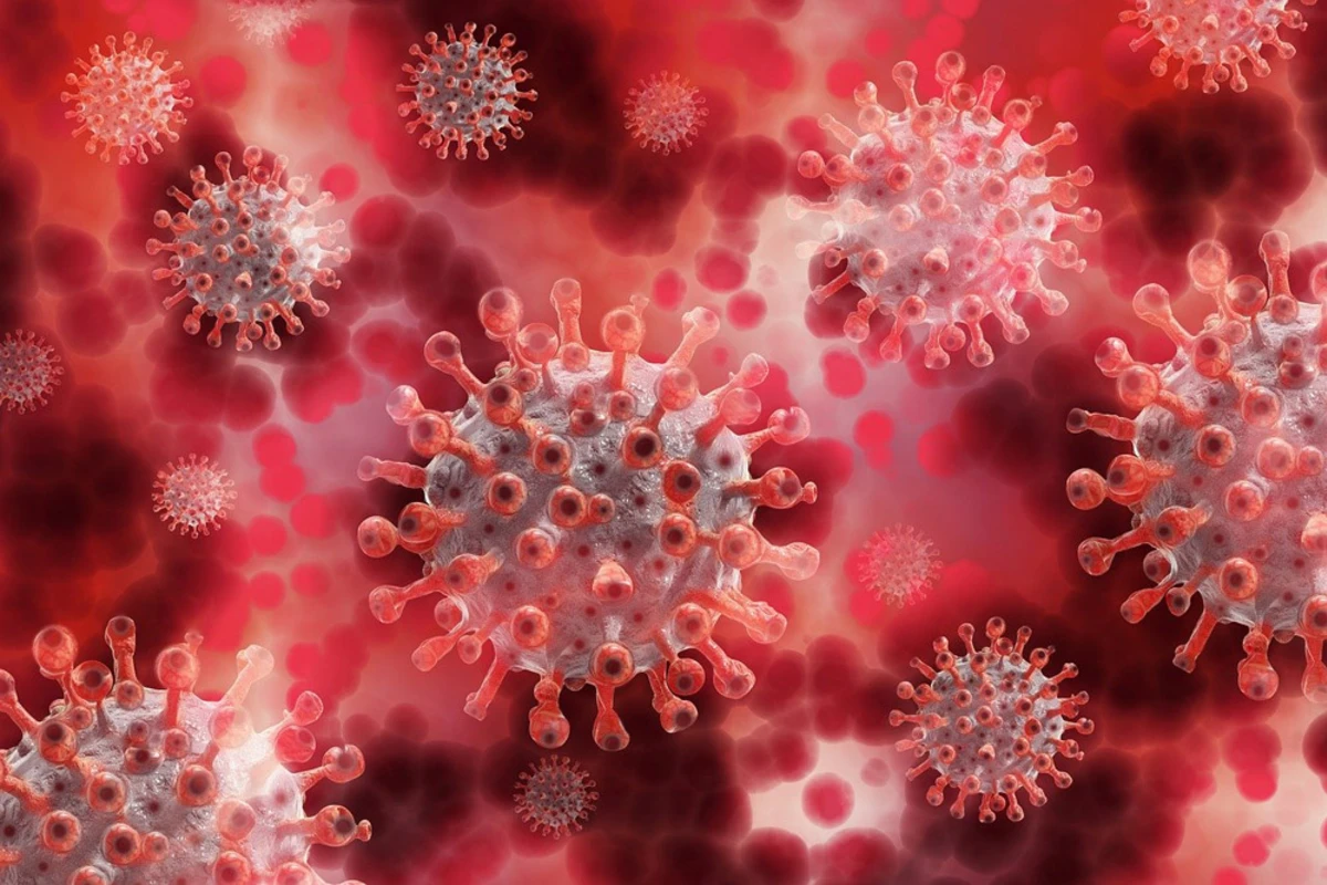 Ученые смогли получить эффективное вещество для борьбы с коронавирусом Ученые смогли получить эффективное вещество для борьбы с коронавирусом