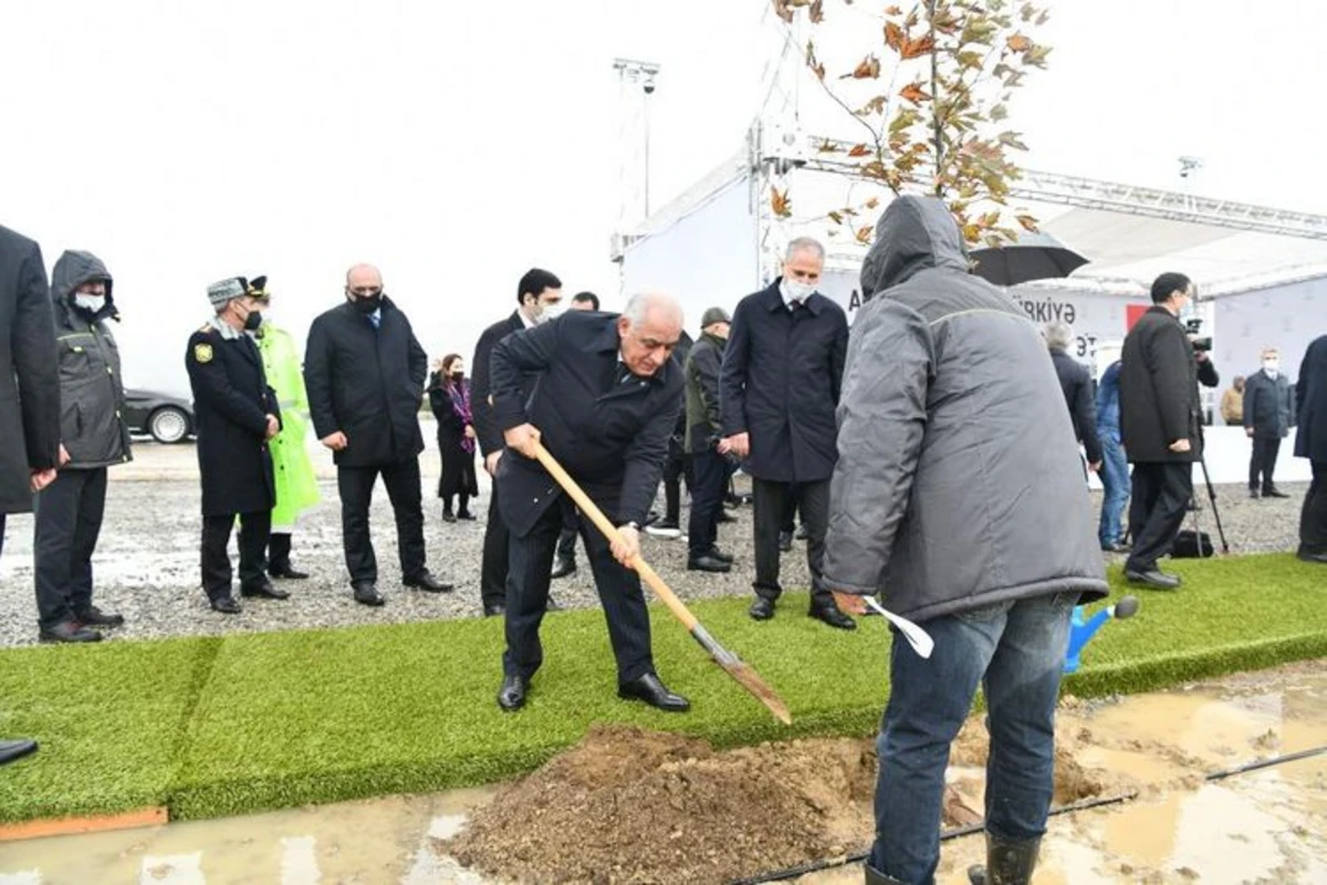 Baş Nazir Əli Əsədov beynəlxalq ağacəkmə aksiyasında iştirak edib