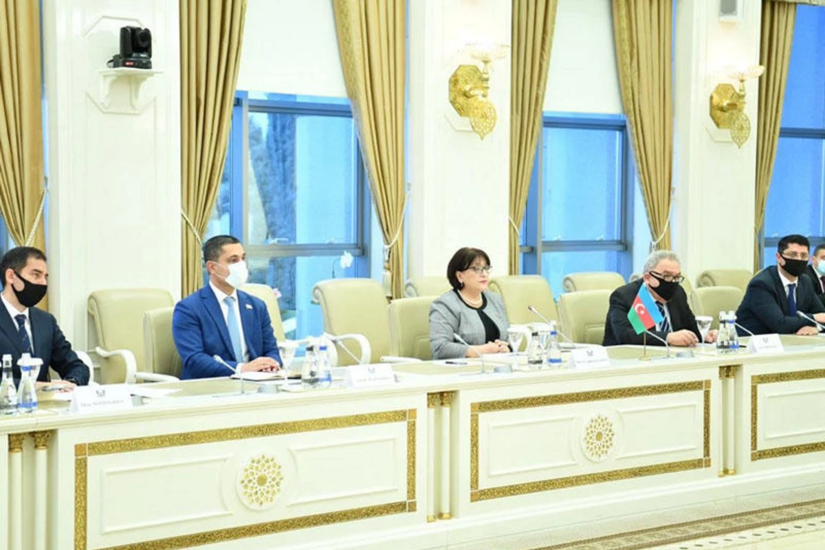 Sahibə Qafarova Fransa Parlamentinin nümayəndə heyəti ilə görüşüb - FOTO