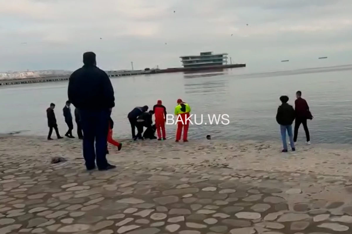 Gənc qız Bulvarda özünü dənizə atdı - VİDEO