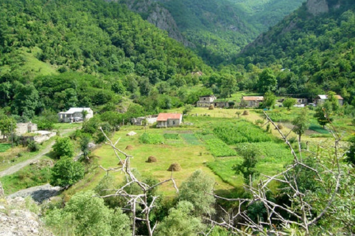Güllə səsi eşidilmədən, şəhid vermədən torpaqları düşməndən azad etmək bəşər tarixində çox az olub