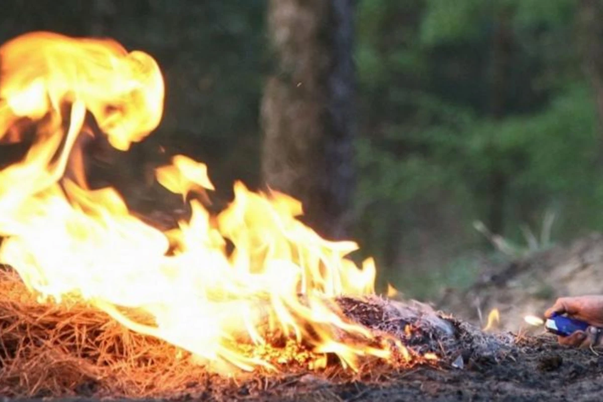 Не смирившись с поражением, армянская армия совершает поджоги в Агдаме - ВИДЕО