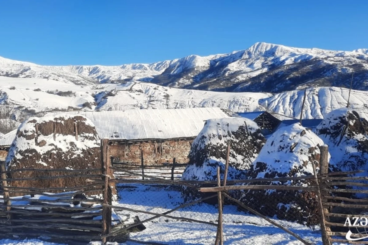 İsmayıllıya qar yağdı - FOTOREPORTAJ