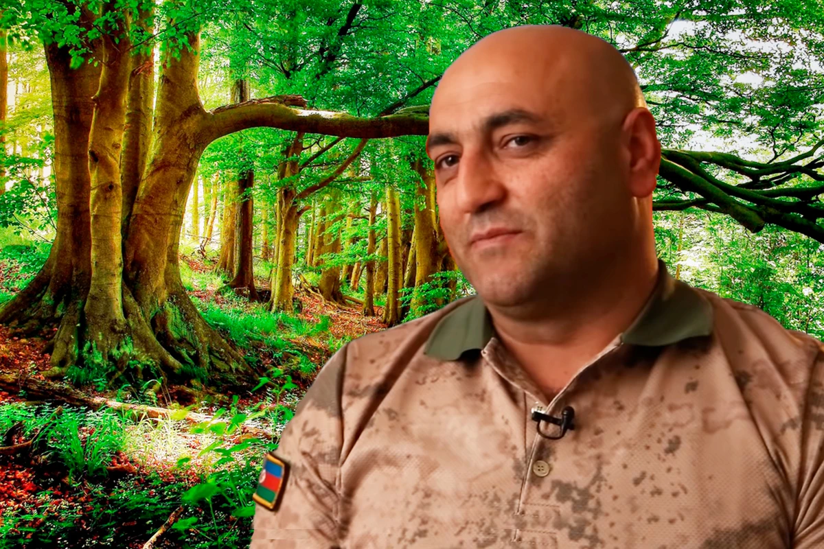 Vətən Müharibəsində kəşfiyyatçı meşədə övladını itirib: “Oğlum gözümün qabağında vuruldu” - VİDEOREPORTAJ