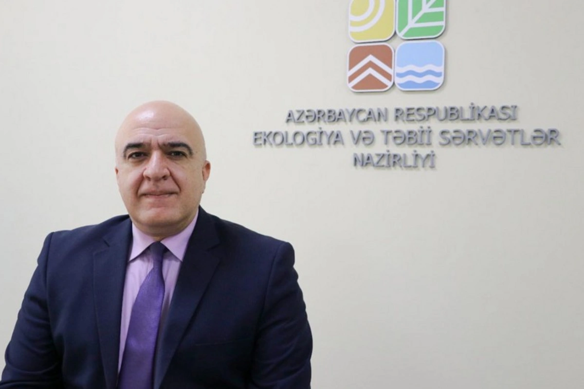 Qusarda ağacların kəsilməsi ilə bağlı araşdırma aparılır