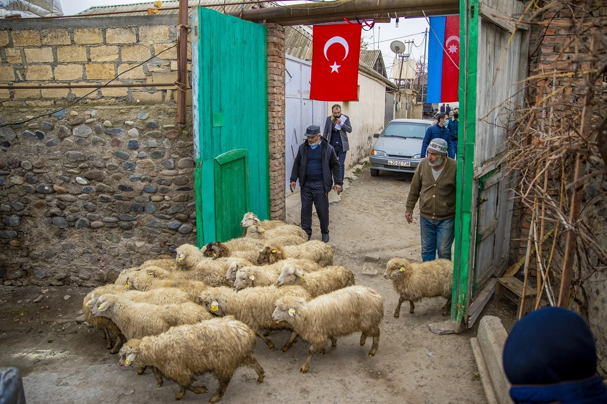 Erməni terrorundan zərər çəkən şəxslər özünüməşğulluq proqramına cəlb edilib - FOTO