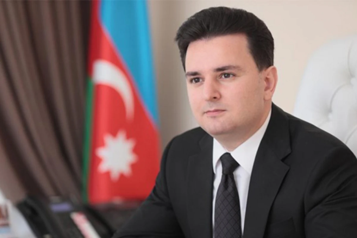 Heydər Əliyev Sarayına direktor təyin olundu - FOTO