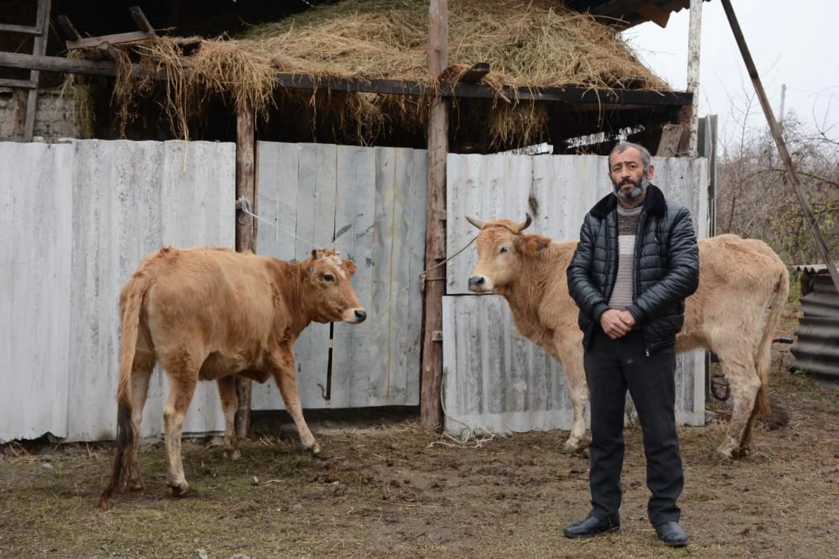 Daha iki rayonda Vətən müharibəsi şəhidlərinin ailələri və müharibə iştirakçıları üçün təsərrüfatlar yaradıldı