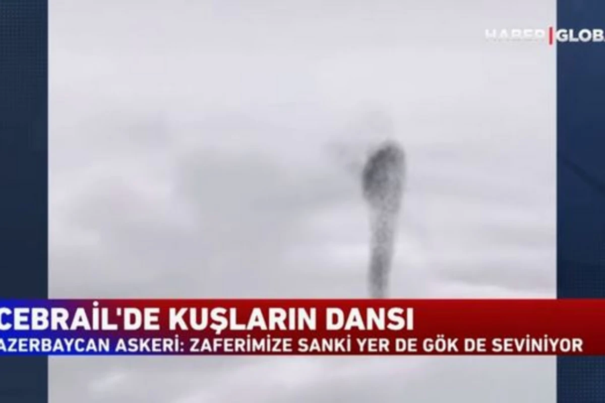Cəbrayıl səmasında quşların rəqsi: Zəfərimizə yer-göy sevinir - VİDEO