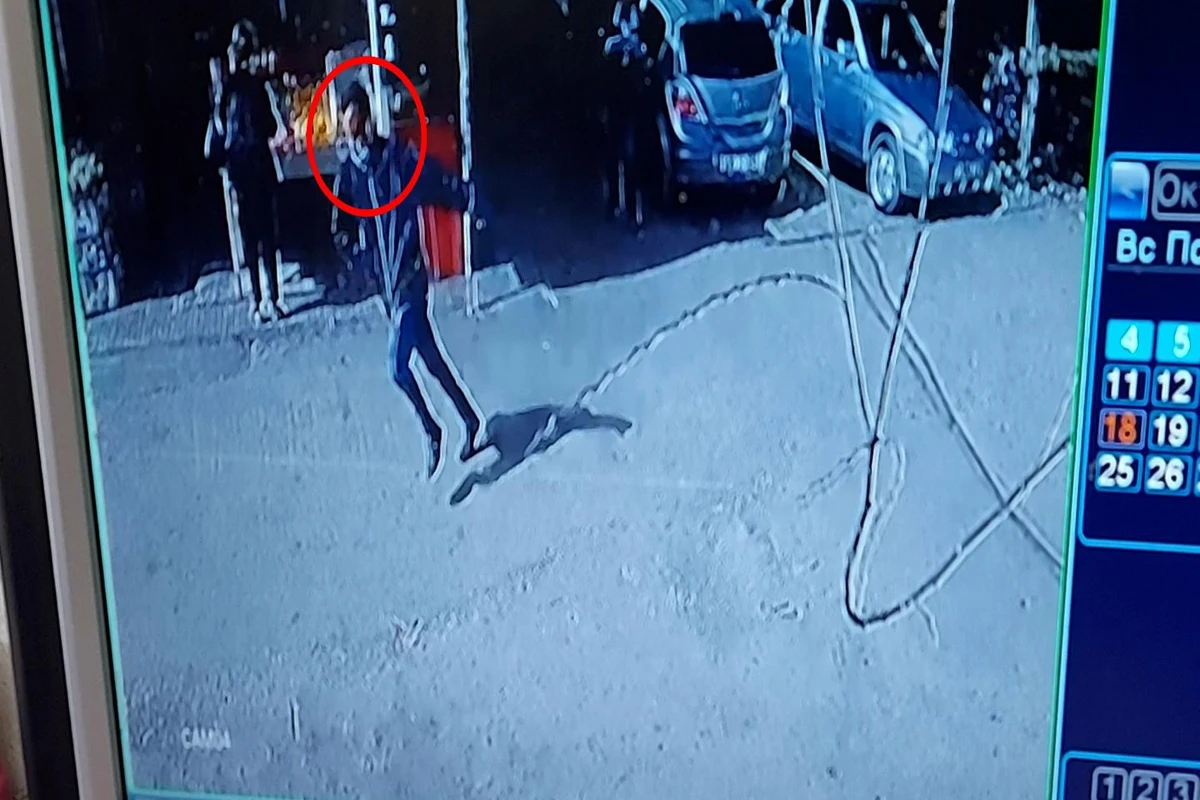Bakıda qadının qızıl boyunbağısını götürüb qaçan şəxs saxlanıldı - VİDEO
