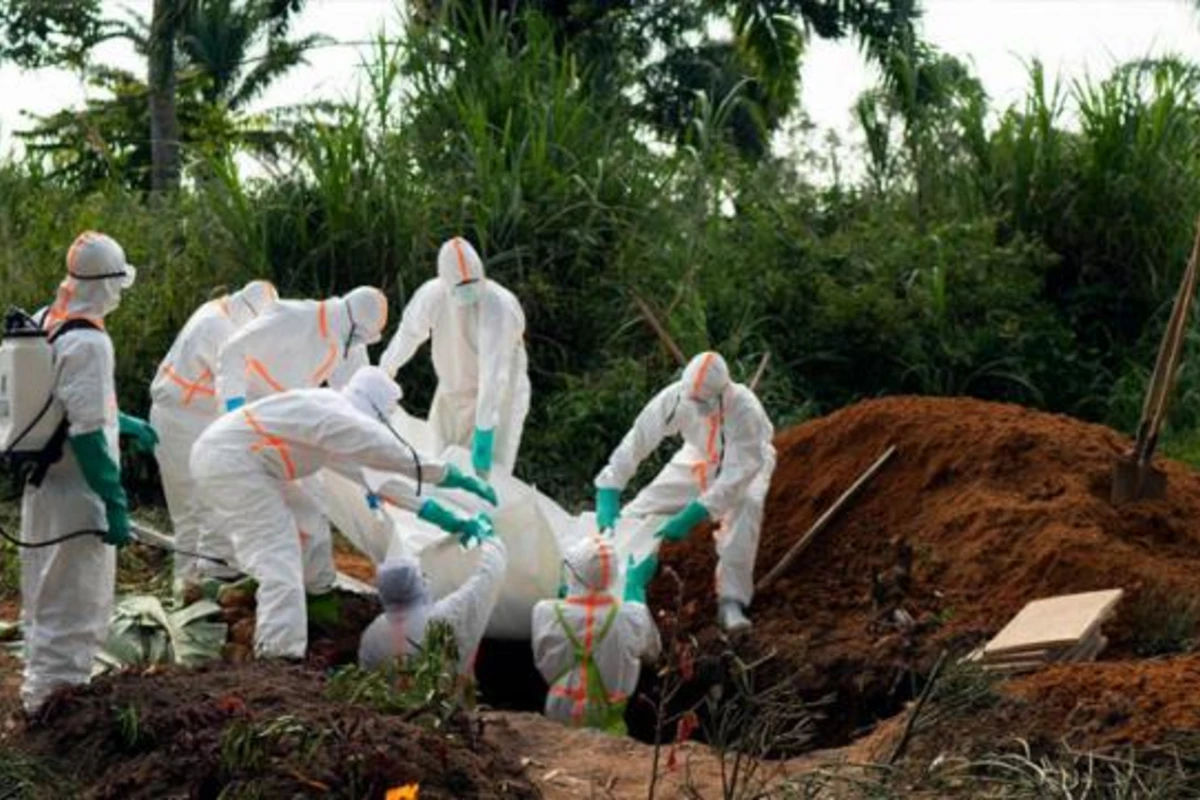 Ebola virusunu aşkar edən professordan şok açıqlama: Koronadan daha ölümcül virus gəlir Ebola virusunu aşkar edən professordan şok açıqlama: Koronadan daha ölümcül virus gəlir