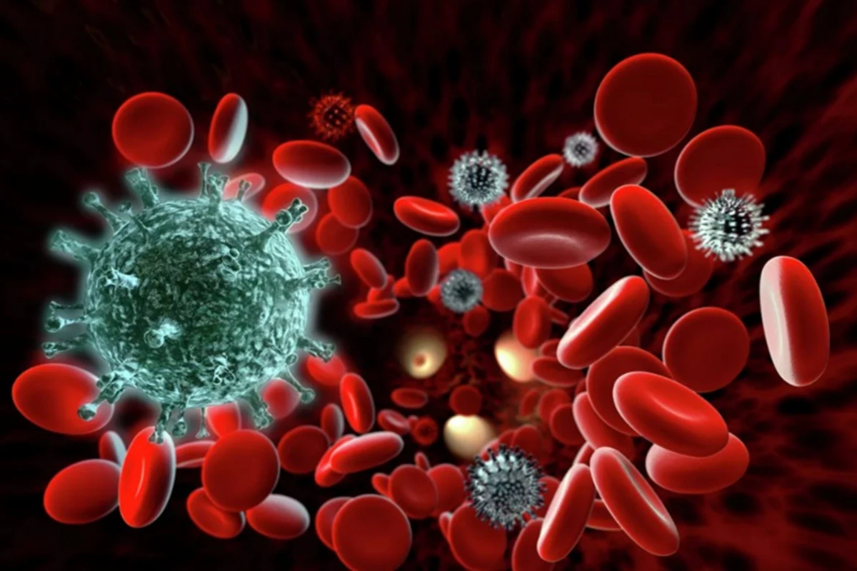 Pandemiya zamanı virusa qarşı ən güclü immunitet açıqlandı