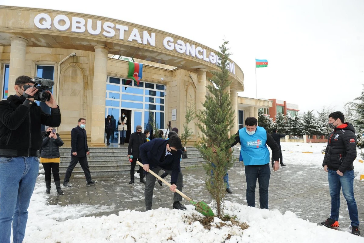 “Davam” ümumrespublika ağacəkmə aksiyası həyata keçirib - FOTO