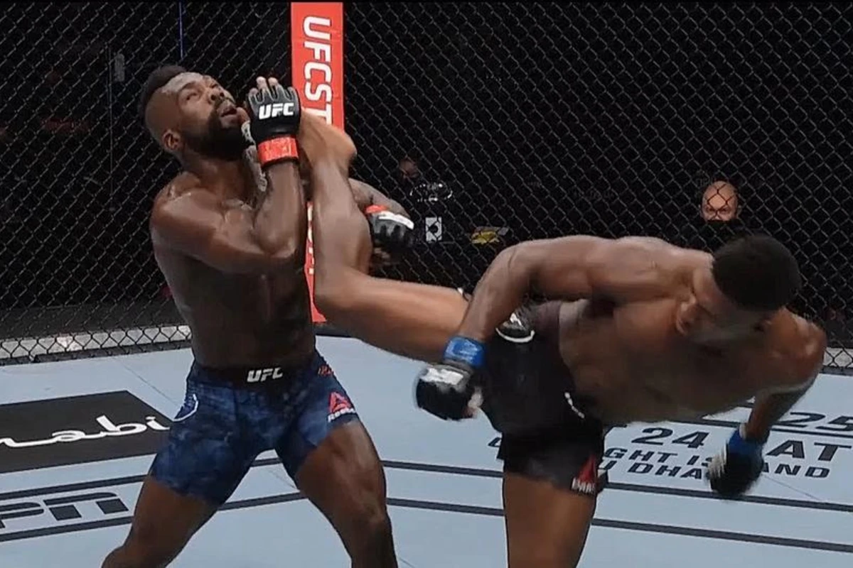 Назван лучший нокаут 2020 года в MMA - ВИДЕО